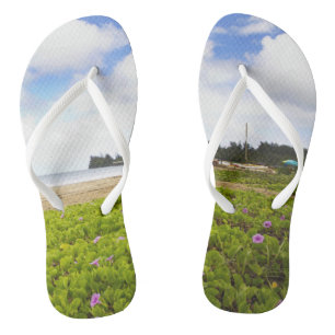 Hanalei Bay, Kauai Hawaii Beach Jandals