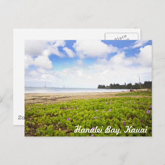 Hanalei Bay, Kauai Hawaii Tropical Beach Scene Postcard (Front/Back)