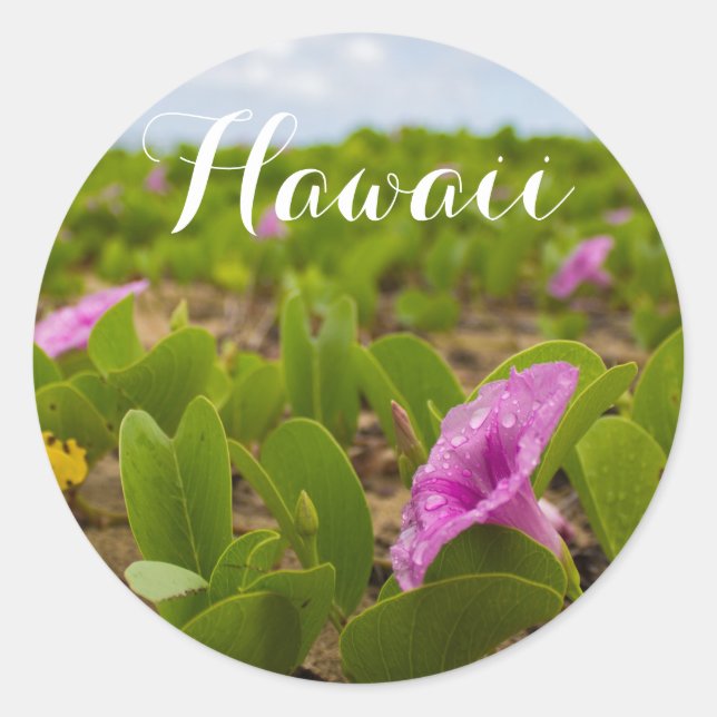 Hanalei Bay, Kauai Morning Glory Purple Flower Classic Round Sticker (Front)