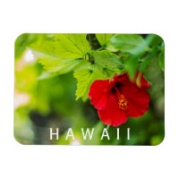 Hanalei Red Hibiscus Tropical Flower