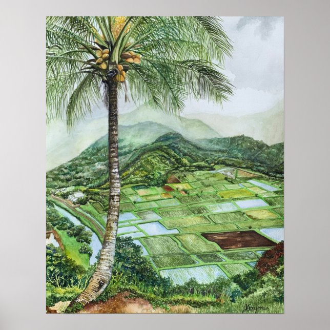 Hanalei Valley 16x20M Poster (Front)