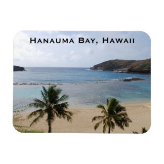 Hanauma Bay Beach, Hawaii Magnet