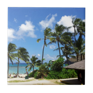 Hanauma Bay Hawaii Coconut Trees Tile