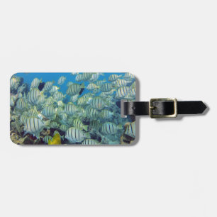 Hanauma Bay - Hawaii Convict Tangs Luggage Tag