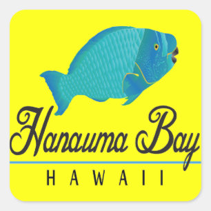 Hanauma Bay Hawaii Parrot Fish Square Sticker