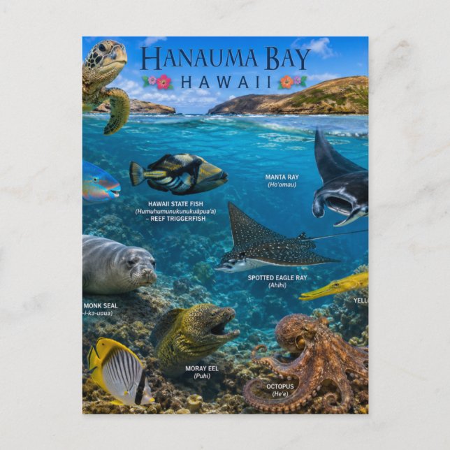 Hanauma Bay Hawaii Postcard (Front)