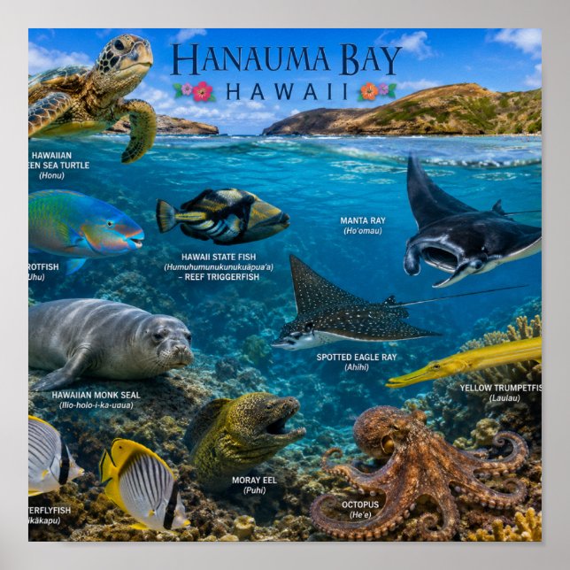 Hanauma Bay Hawaii Poster (Front)