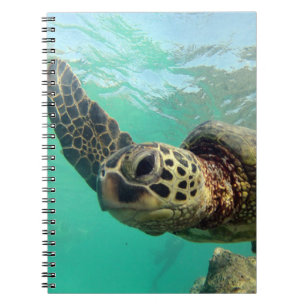 Hanauma Bay Hawaii Turtle Notebook