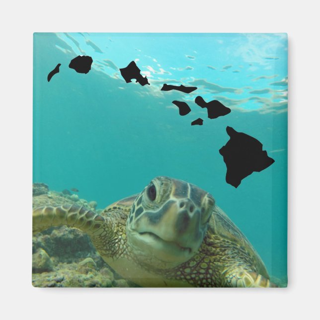 Hanauma Bay Oahu Hawaii Turtle Magnet (Front)