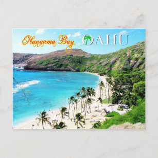 Hanauma Bay, Oahu - Snorkeler's Paradise Postcard