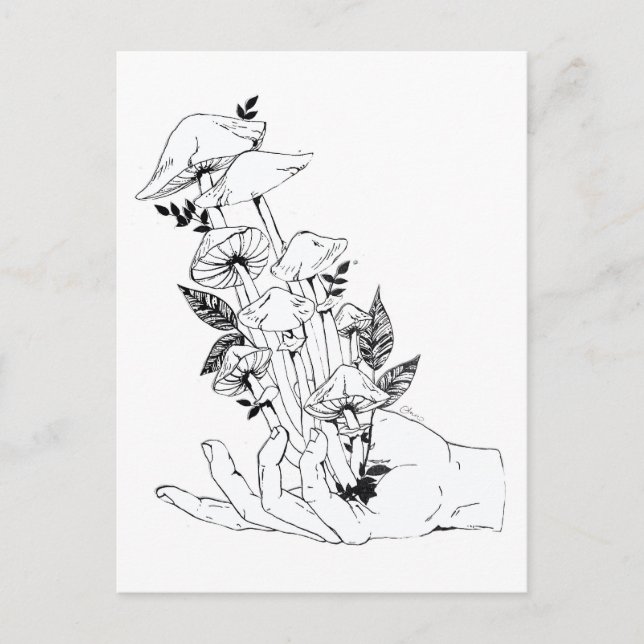 Hand and Mushrooms Postcard (Front)