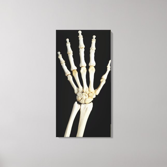 Hand Bones Canvas Print (Front)