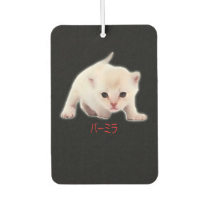 Hand Draw Funny Burmilla Cat Japan Dad Mum Bro Car Air Freshener