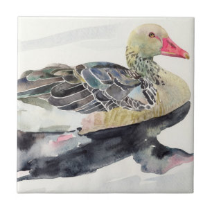 Hand Draw Watercolor Bird, Duck Tile