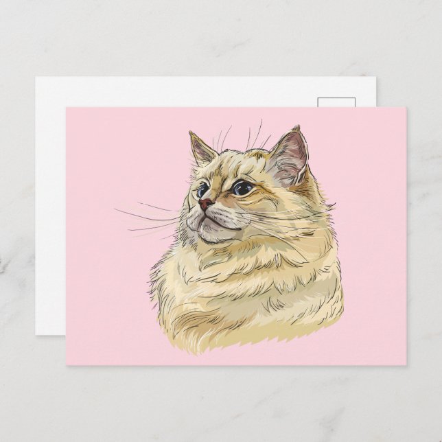 Hand drawing funny fluffy Ragdoll cat Postcard (Front/Back)