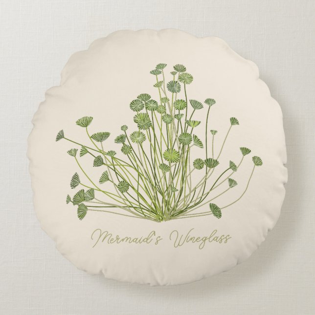 Hand drawn Acetabularia Seaweed  Round Cushion (Front)