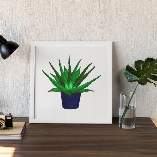 Hand drawn Aloe Vera Plant Poster (Creator Uploaded)