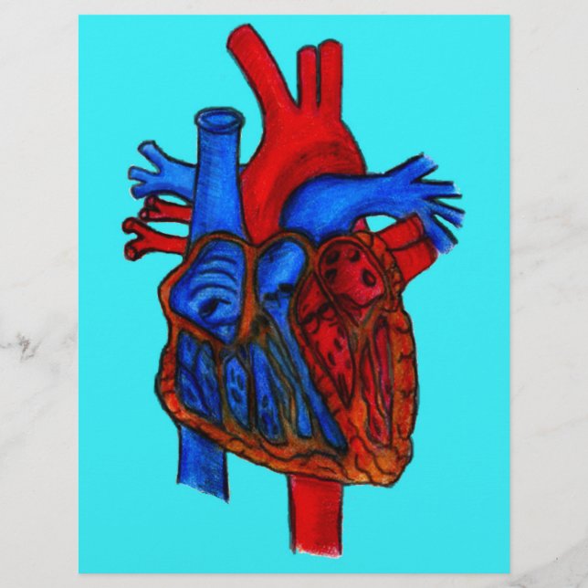 Hand Drawn Aqua Anatomical Heart (Front)