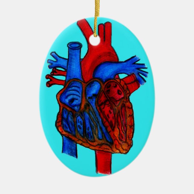 Hand Drawn Aqua Anatomical Heart Ceramic Tree Decoration (Front)