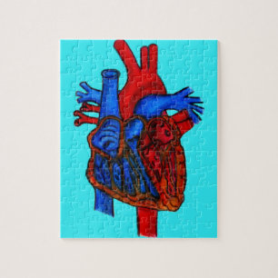 Hand Drawn Aqua Anatomical Heart Jigsaw Puzzle