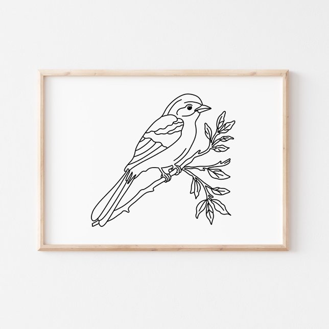 Hand-Drawn Bird Illustration Art Poster (Creator Uploaded)