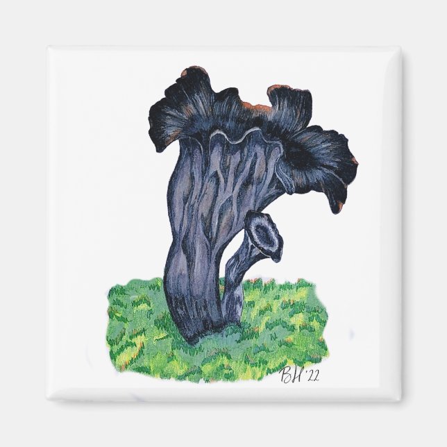 Hand Drawn Black Trumpet Mushroom Magnet (Front)