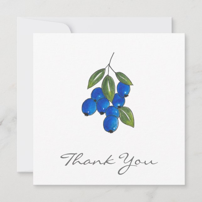 Hand Drawn Blueberries Thank You Card (Front)