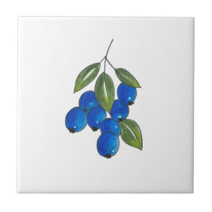 Hand Drawn Blueberries Tile