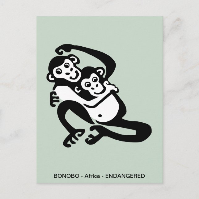 Hand drawn  BONOBO- Chimpanzee -Wildlife - Primate Postcard (Front)