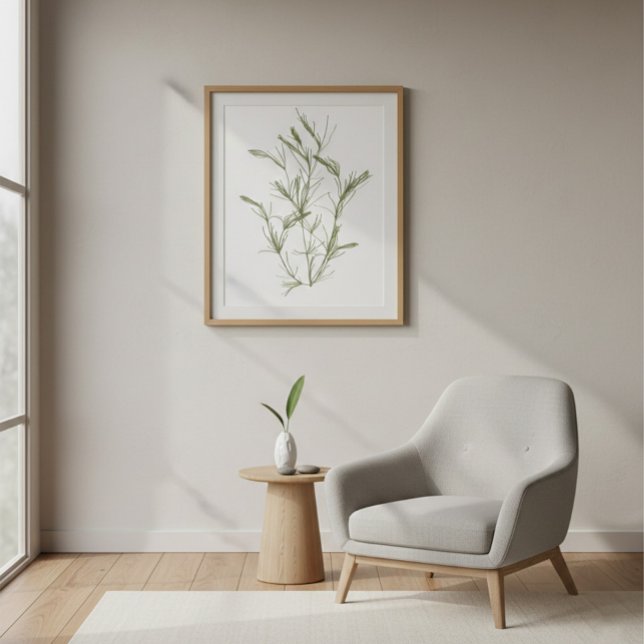 Hand-Drawn Chara fragilis Seaweed Canvas Print (Creator Uploaded)