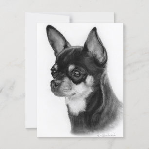 Hand Drawn Chihuahua Head Study Postcard