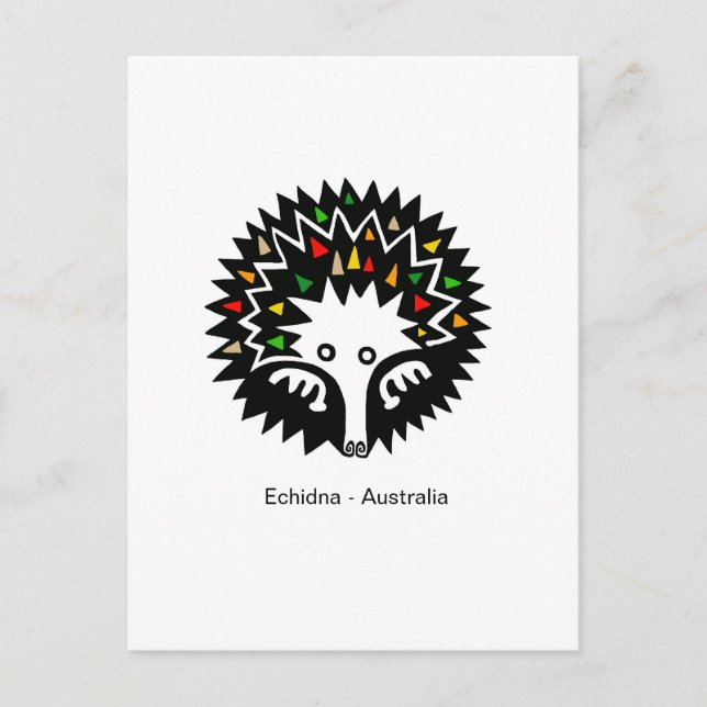 Hand drawn-  ECHIDNA - Aussie wildlife - Nature Postcard (Front)