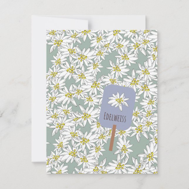 Hand-Drawn Edelweiss Sound of Music Botanical Card (Front)