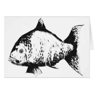 Hand drawn fish