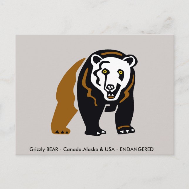 Hand drawn Grizzly BEAR - Wildlife - wild animals Postcard (Front)