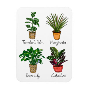 Hand Drawn House Plants Art  Magnet