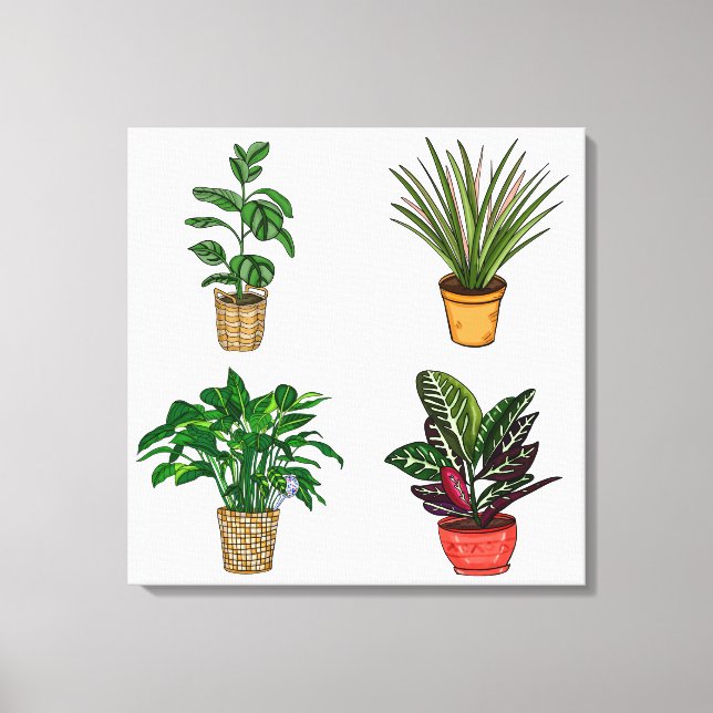 Hand drawn Houseplant Art Canvas Print (Front)