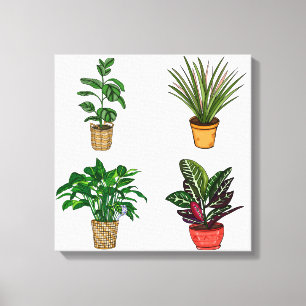 Hand drawn Houseplant Art Canvas Print