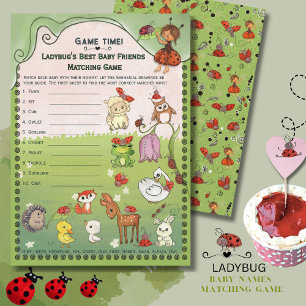 Hand-Drawn Ladybug & Friends Baby Animal Matching Invitation