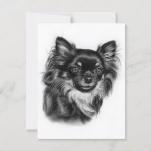 Hand Drawn Long Haired Chihuahua Charcoal Artwork Postcard