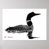 Hand drawn Loon