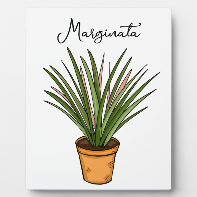 Hand drawn Marginata Plaque (Front)