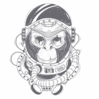 Hand Drawn Monkey