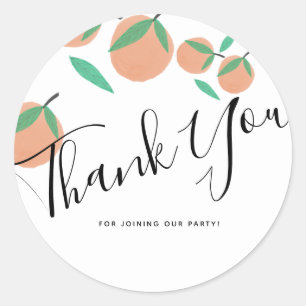 Hand Drawn Oranges Botanical Citrus Thank You Classic Round Sticker
