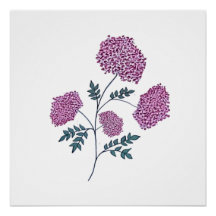 Hand-Drawn Pink Blossom, Elegant Botanical Spring