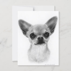 Hand Drawn Short Haired Chihuahua - Gentle Express Postcard