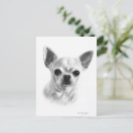 Hand Drawn Short Haired Chihuahua Postcard