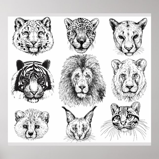 Hand Drawn Sketch Animal Portraits Poster (Front)