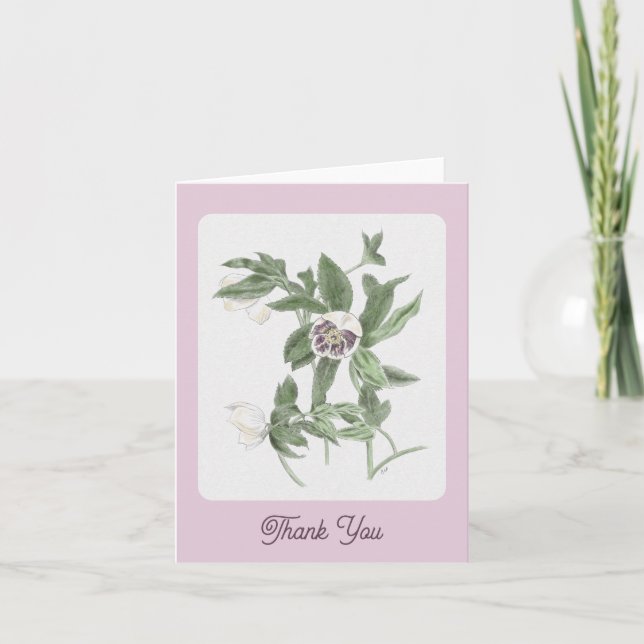 Hand Drawn White and Purple Hellebore Thank You Card (Front)