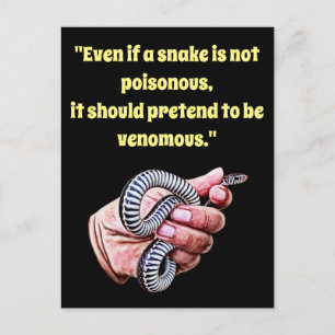 hand holding baby snake quote reptile animals art postcard